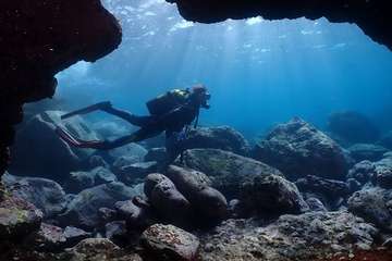 Fotos premiadas en el VI Open Fotosub Sardina (Fotos cedidas por la organización)