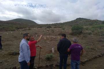 Plantación en Calasio  de este domingo (Foto TA)