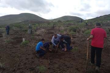 Plantación en Calasio  de este domingo (Foto TA)