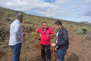 Plantación en Calasio  de este domingo (Foto TA)