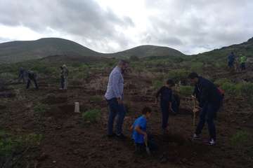 Plantación en Calasio  de este domingo (Foto TA)