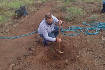 Plantación en Calasio  de este domingo (Foto TA)