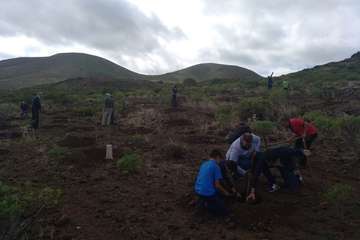 Plantación en Calasio  de este domingo (Foto TA)