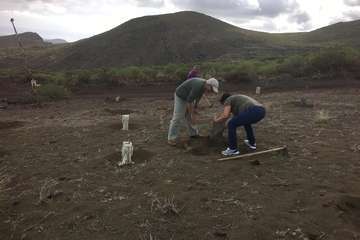 Plantación en Calasio  de este domingo (Foto TA)