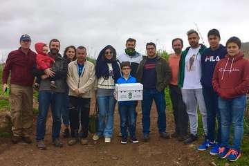 Suelta en Telde de una aguililla recuperada por el Centro de Fauna Silvestre del Cabildo grancanario (Foto TA)