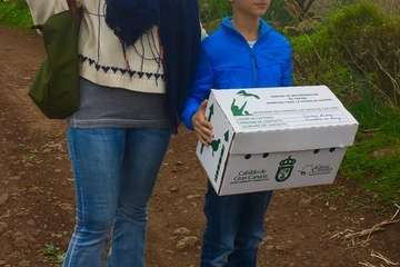 Suelta en Telde de una aguililla recuperada por el Centro de Fauna Silvestre del Cabildo grancanario (Foto TA)