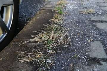 Parque casposo en Telde (Foto TA)