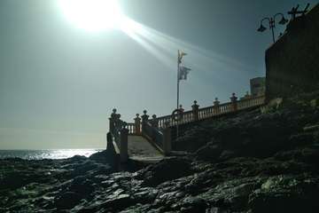 Las medusas vuelven a Melenara (Foto TA)