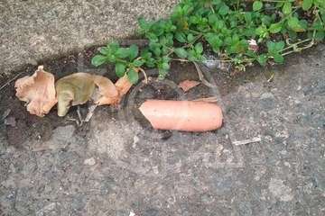 Crece la alarma en Tecén entre los propietarios de animales por las salchichas con alfileres (Foto TA)