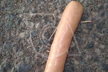 Crece la alarma en Tecén entre los propietarios de animales por las salchichas con alfileres (Foto TA)