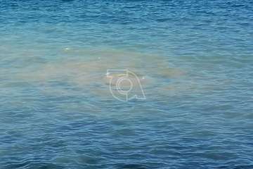 Los vertidos fecales contaminan el mar por Bocabarranco (Foto TA)