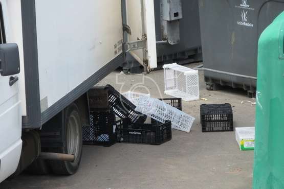 La Policía Local investiga el vertido de decenas de cajas de plástico en un contenedor de San Juan (Foto TA)