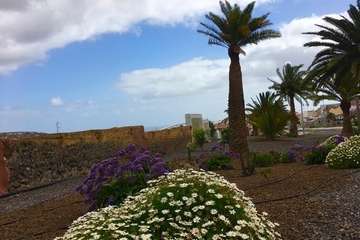 Día Internacional de la Madre Tierra: 50 años de concienciación (Foto TA)