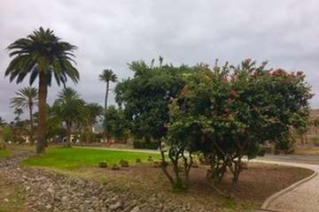 Día Internacional de la Madre Tierra: 50 años de concienciación (Foto TA)