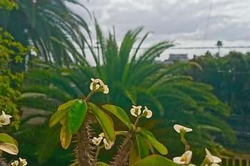 Día Internacional de la Madre Tierra: 50 años de concienciación (Foto TA)