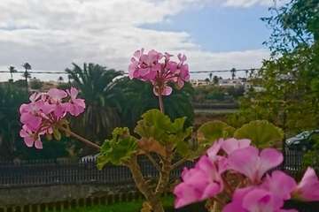 Día Internacional de la Madre Tierra: 50 años de concienciación (Foto TA)