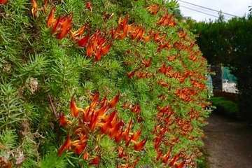 Día Internacional de la Madre Tierra: 50 años de concienciación (Foto TA)
