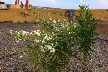Día Internacional de la Madre Tierra: 50 años de concienciación (Foto TA)