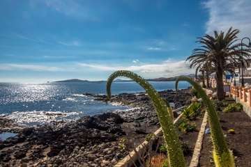 La idílica y triste postal de la costa teldense (Foto Antonio Rico)