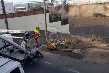 Intervención polémica de Parques y Jardines en Marpequeña (Foto TA)
