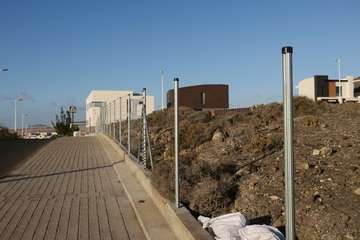 Canarias refuerza las medidas de protección de la especie endémica piña de mar en Telde (Foto TA)