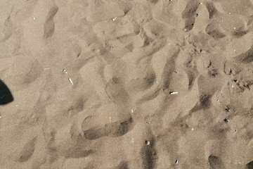 Las playas de Telde, sin una limpieza profunda de sus arenales (Foto TA)