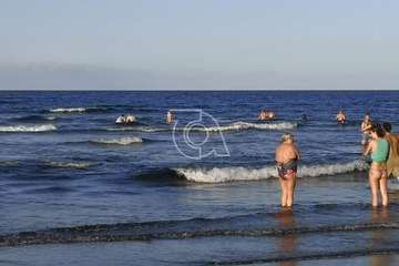  Dos delfines orillan en la playa teldense del Hombre (Foto TA)