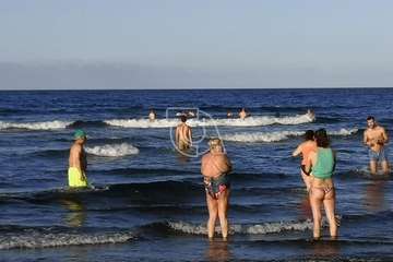  Dos delfines orillan en la playa teldense del Hombre (Foto TA)
