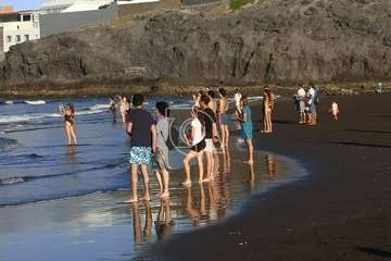  Dos delfines orillan en la playa teldense del Hombre (Foto TA)