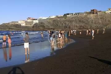  Dos delfines orillan en la playa teldense del Hombre (Foto TA)