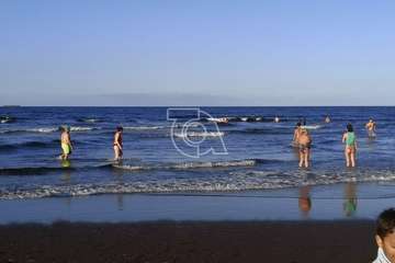 Dos delfines orillan en la playa teldense del Hombre (Foto TA)