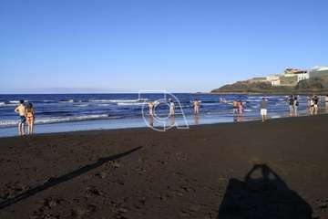  Dos delfines orillan en la playa teldense del Hombre (Foto TA)