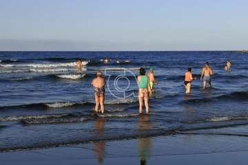  Dos delfines orillan en la playa teldense del Hombre (Foto TA)