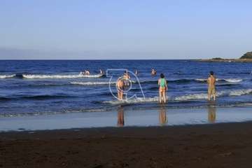  Dos delfines orillan en la playa teldense del Hombre (Foto TA)