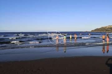  Dos delfines orillan en la playa teldense del Hombre (Foto TA)