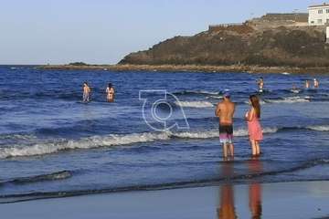  Dos delfines orillan en la playa teldense del Hombre (Foto TA)