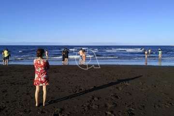  Dos delfines orillan en la playa teldense del Hombre (Foto TA)