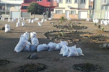 El proyecto Barrios Verde, de Melenara, se planta en San Borondón (Foto TA)