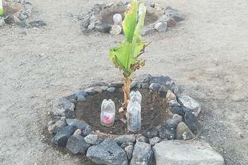 El proyecto Barrios Verde, de Melenara, se planta en San Borondón (Foto TA)