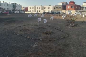 El proyecto Barrios Verde, de Melenara, se planta en San Borondón (Foto TA)