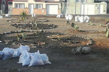 El proyecto Barrios Verde, de Melenara, se planta en San Borondón (Foto TA)