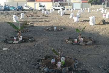 El proyecto Barrios Verde, de Melenara, se planta en San Borondón (Foto TA)