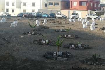 El proyecto Barrios Verde, de Melenara, se planta en San Borondón (Foto TA)