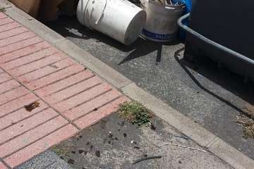  El vertedero 'invisible' para los servicios de Limpieza (Foto TA)