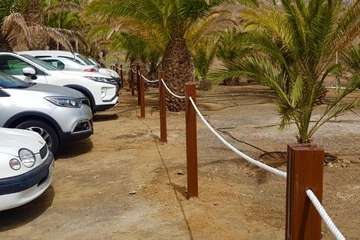 Parques y Jardines planta un centenar de árboles en La Majadilla (Foto TA)