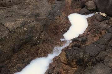Telde investiga los vertidos de aguas domésticas a la red de pluviales en Taliarte (Foto TA)