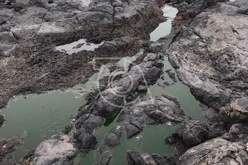 Continúa el vertido de aguas domésticas en los riscos de Taliarte (Foto TA)