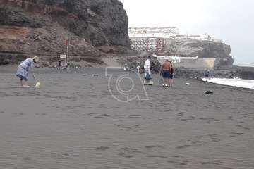  'Una bolsa menos' limpia la playa de San Borondón de plásticos y residuos/TA