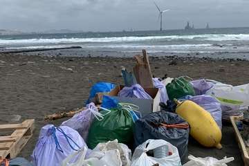 Limpieza de la playa de Jinámar (Foto TA)