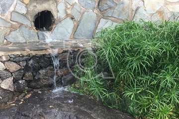 Trabajos de peritaje judicial sobre los vertidos de Taliarte/TA.